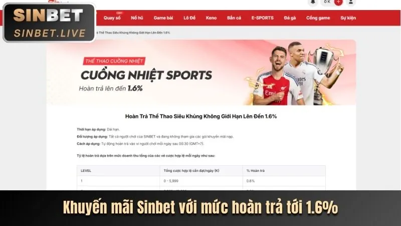 Cá cược quần vợt tại 8win Nổ Hũ